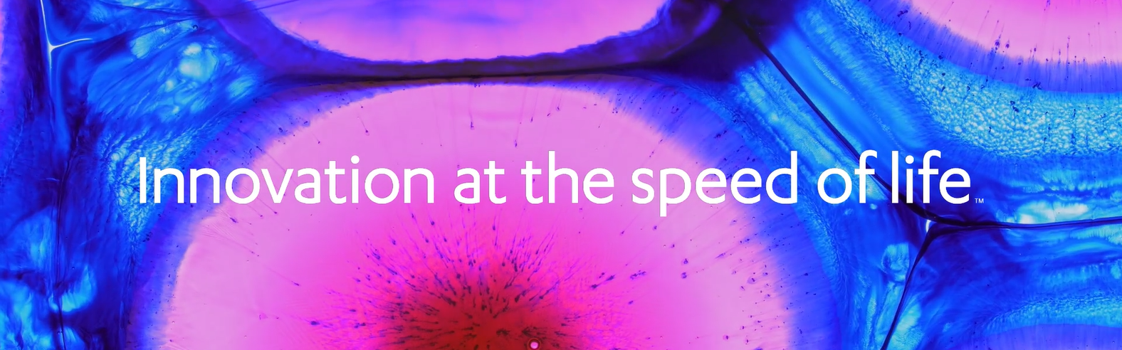 Screenshot 2025-07-16 180038.png