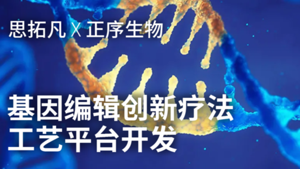 屏幕截图 2025-10-31 120208.png